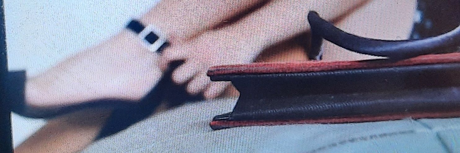 ⋆ ˚｡⋆ 𝓓𝓸𝓵𝓸𝓻𝓮𝓼 ⋆｡˚ ⋆ banner