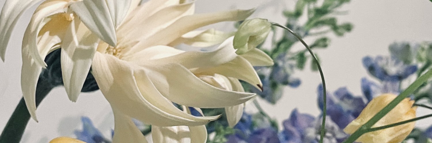 LC8RC6's profile banner image