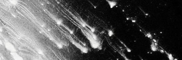 blxkwidow_ Profile Banner