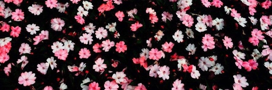 marialealgr's profile banner image