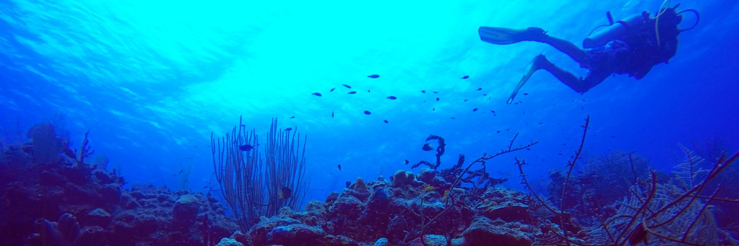 Mickey Mullin banner