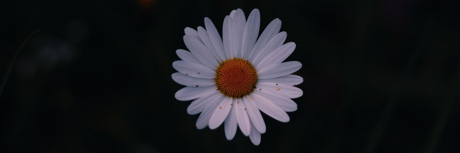 MrM00Cow's profile banner image