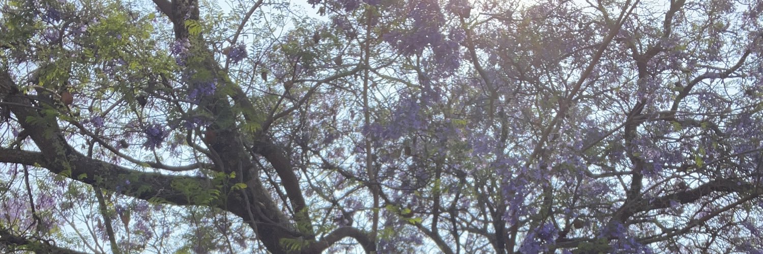 meldehaene's profile banner image