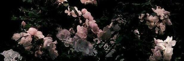 with love, amy. banner