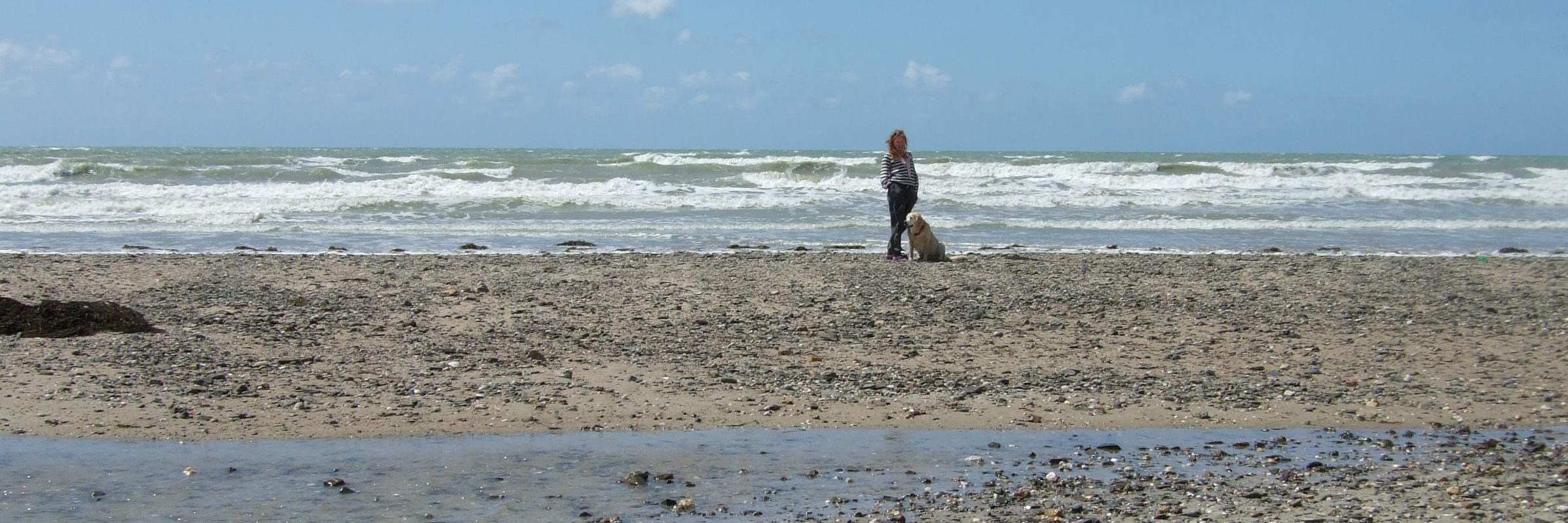 TheSecretCove's profile banner image