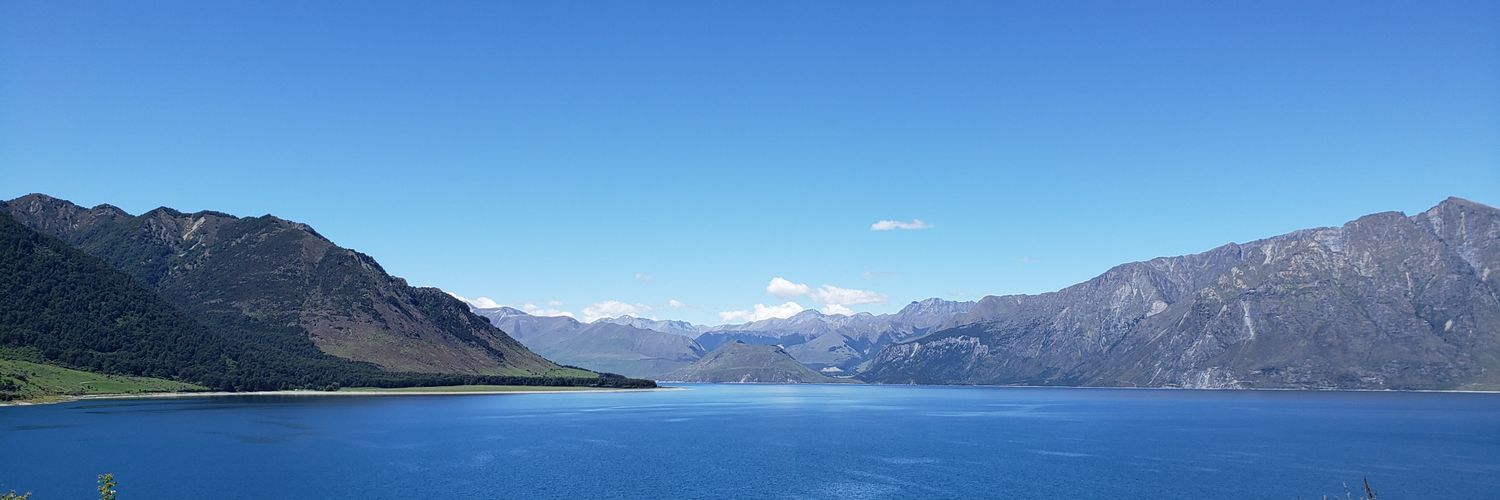 Alex Lam 林偉聰 banner