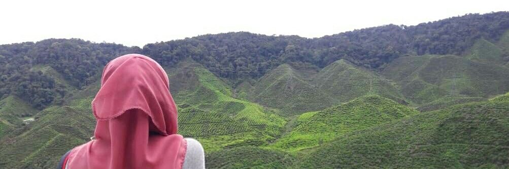 Amira_Mutalib's profile banner image