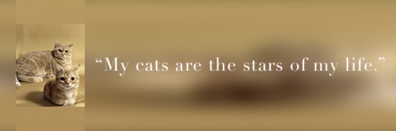 Bestluvy_ever's profile banner image
