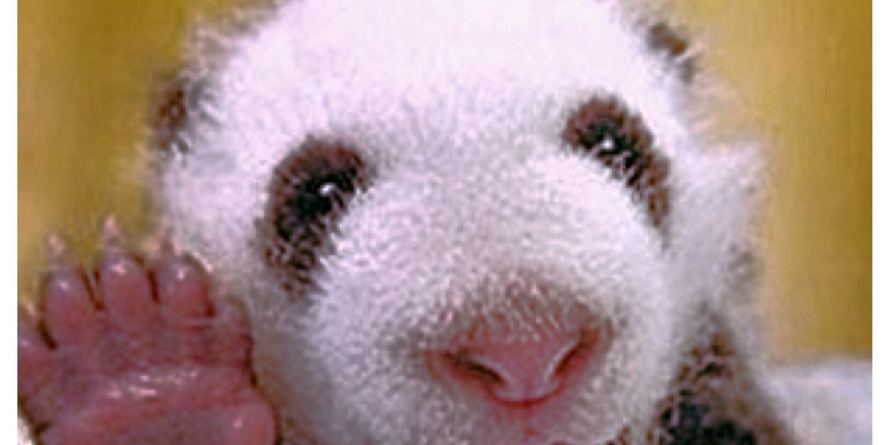 Evermorelust's banner
