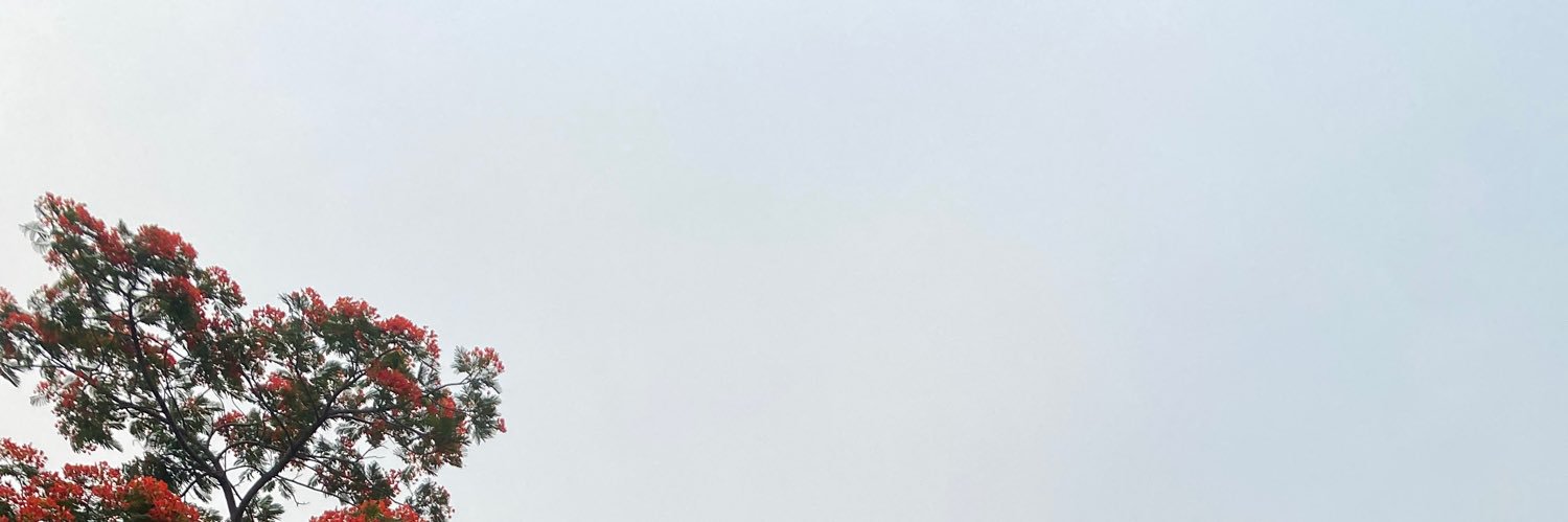 msbarbapiaa's profile banner image