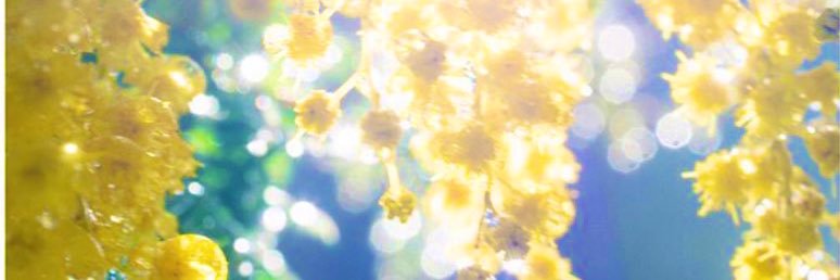 megumi403's profile banner image