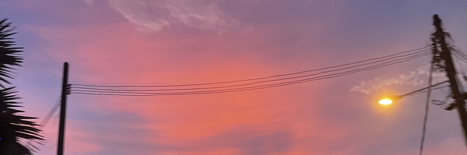 minniewern's profile banner image
