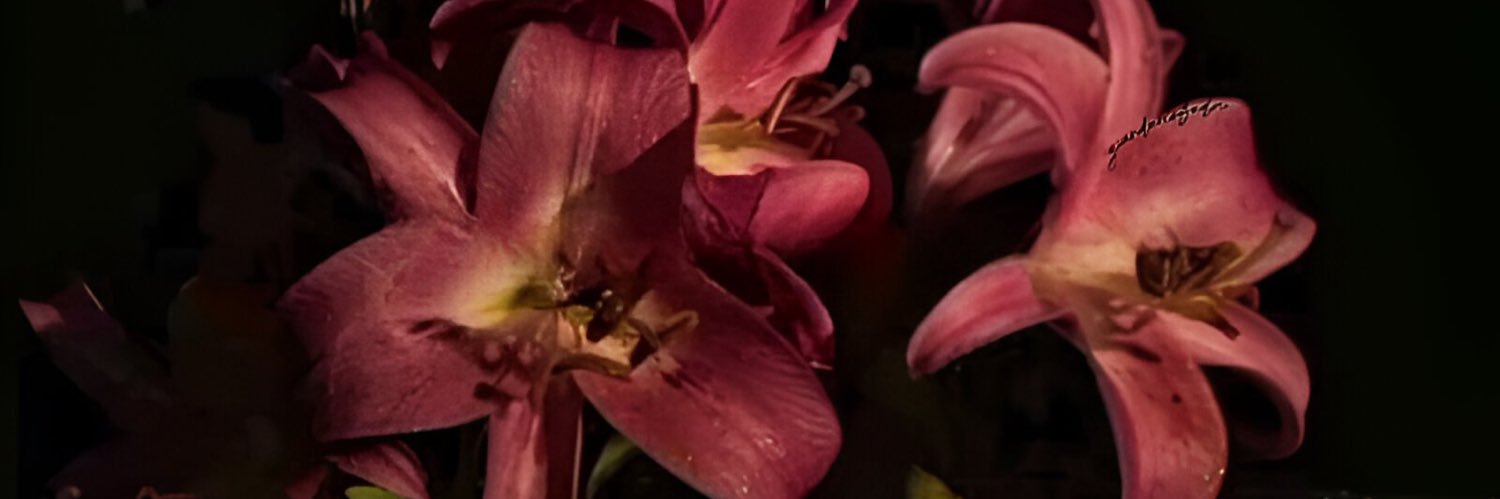 eden banner
