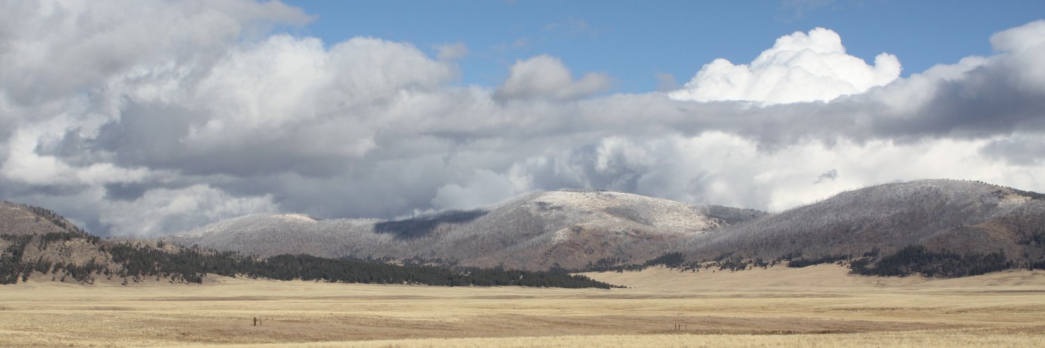 dickpryor's profile banner image