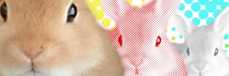 SEN8473's profile banner image