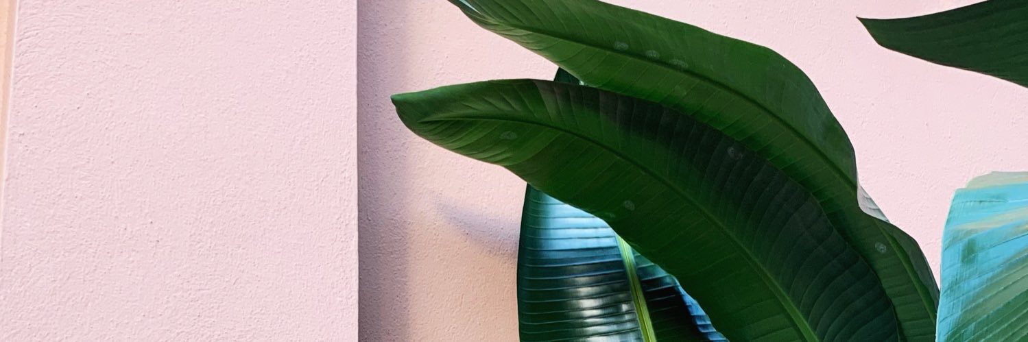 lillyybeee's profile banner image