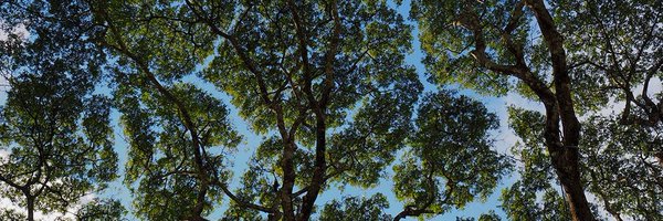 SamHuckstep Profile Banner