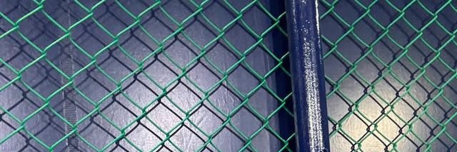 dindin🐾 banner