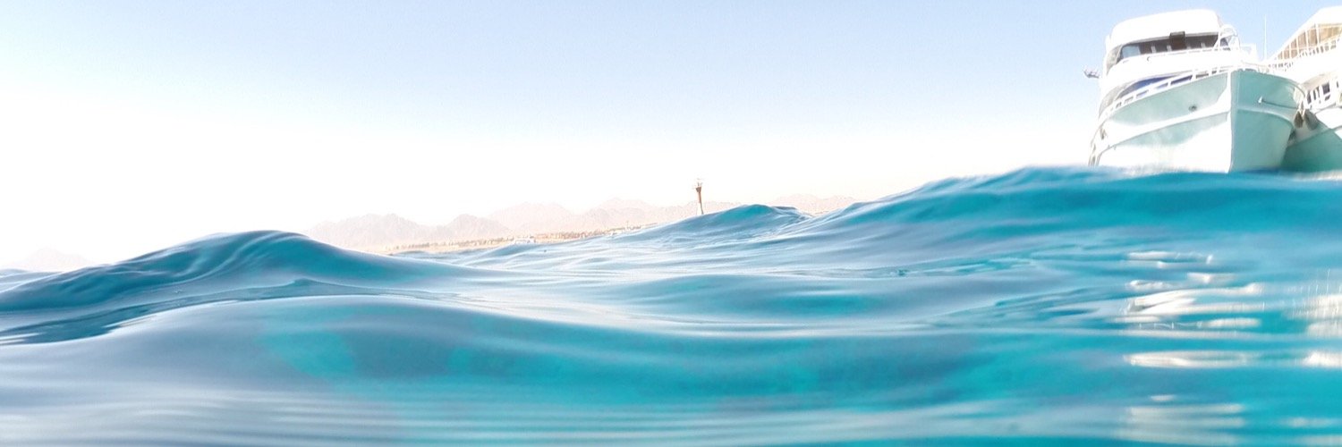 sophieweeds's profile banner image