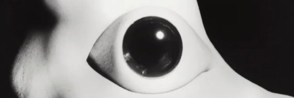 m_hostilis Profile Banner