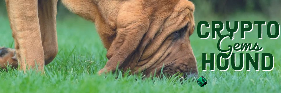 Crypto Gems Hound banner