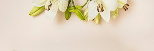 Lilly Aprilya banner