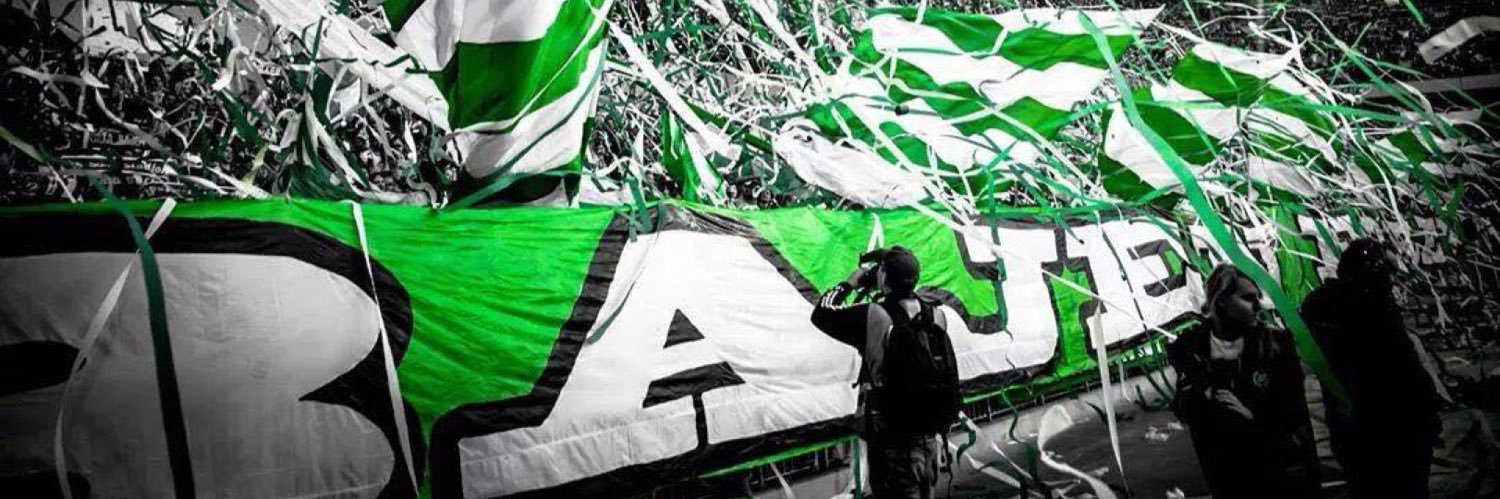 spindelbenen ⭐⭐⭐ banner