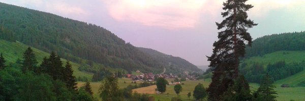 bvanparidon Profile Banner