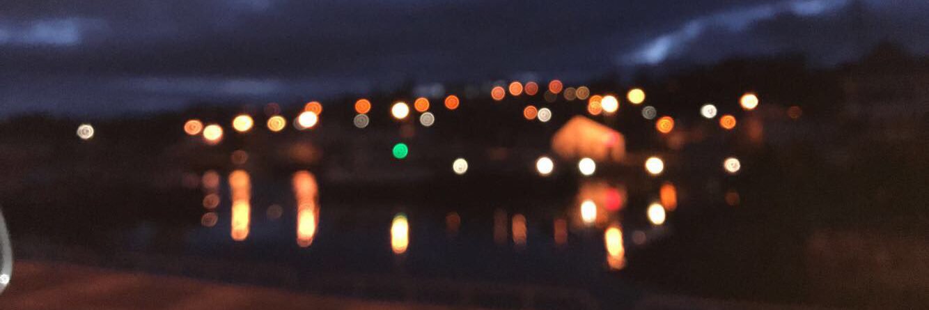 ShannonAnnCole's profile banner image