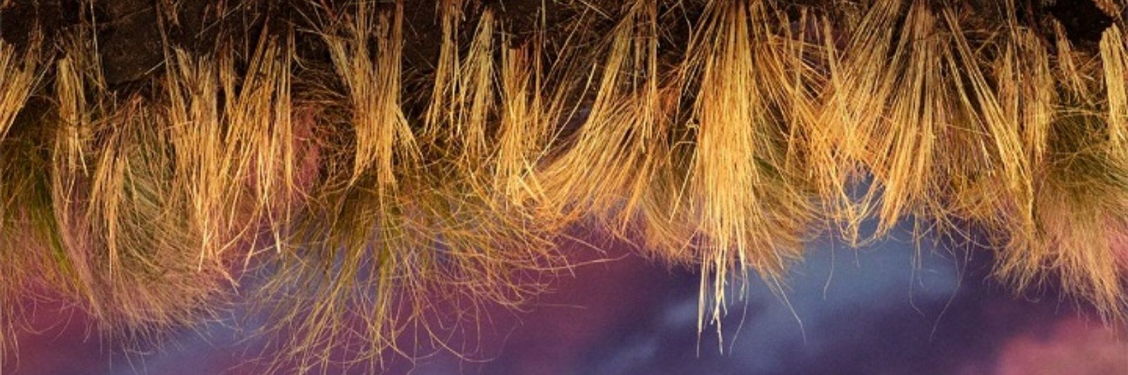 avitcii's profile banner image