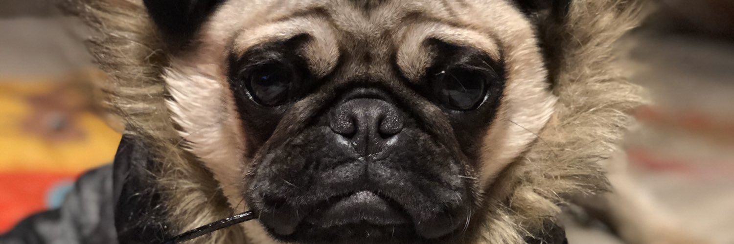 Danirogonve's profile banner image