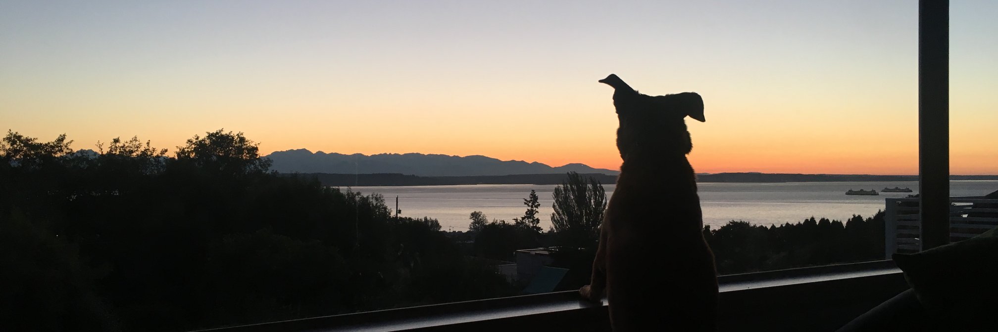 togneter's profile banner image
