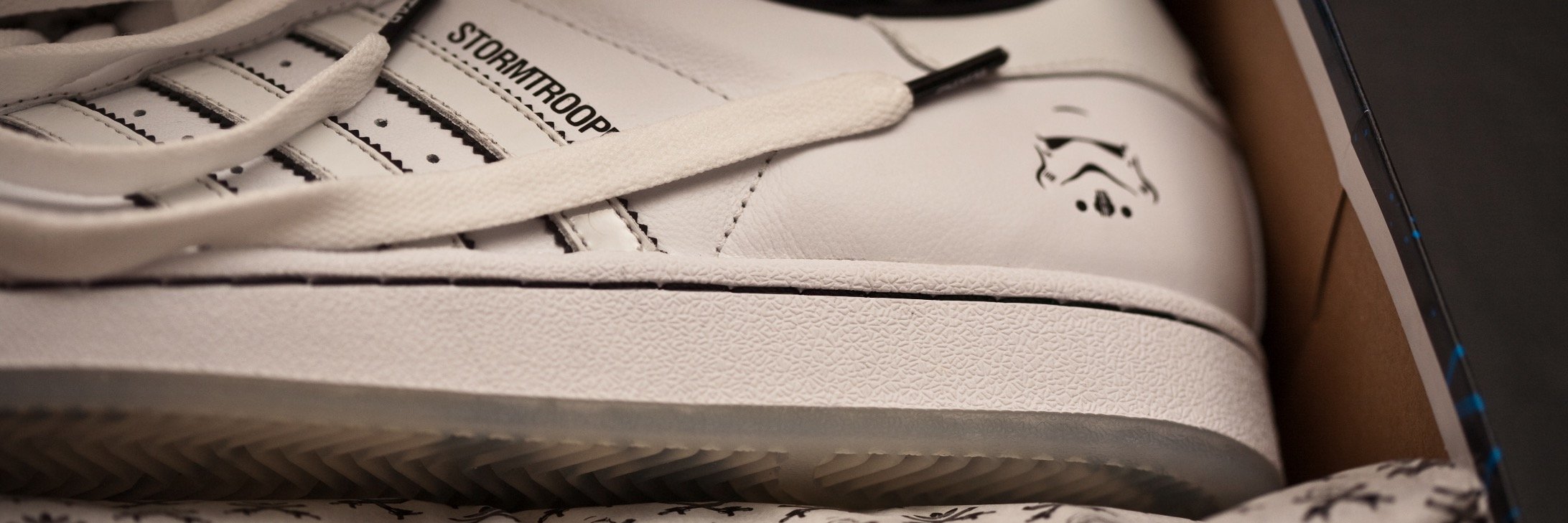 Robert Occhialini banner