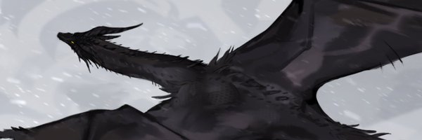 F_twitor Profile Banner