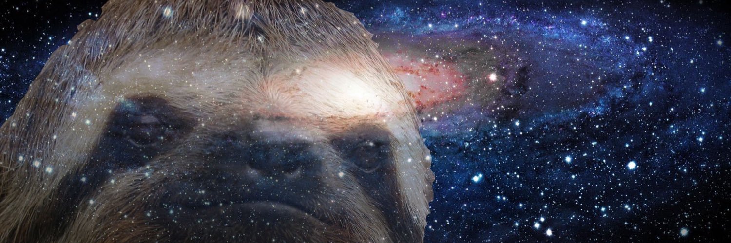 Space Sloths 🦥 banner