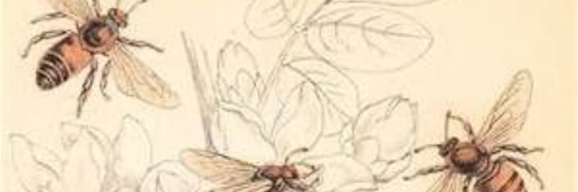 BethanyS's profile banner image