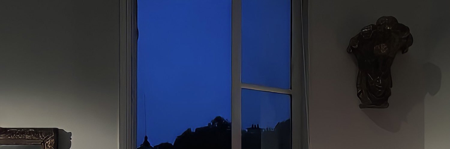 liCil9's profile banner image