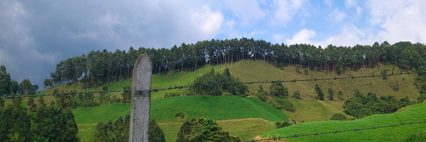 depa_pel's profile banner image