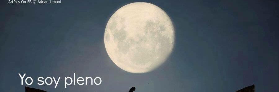 misterqro's profile banner image