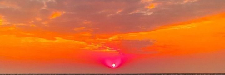 Pınar banner