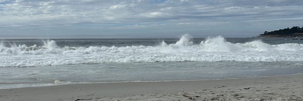 ChereeBoteler Profile Banner