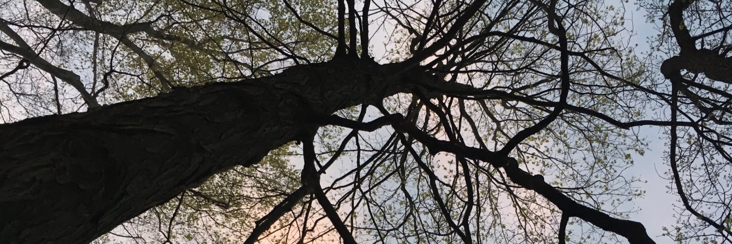 BeaCarreno's profile banner image