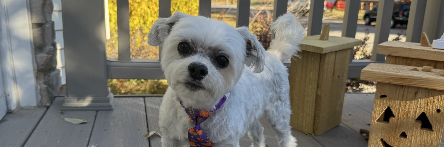 Carri Calhoun banner