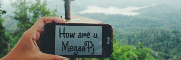 Mega Puji Astuti banner
