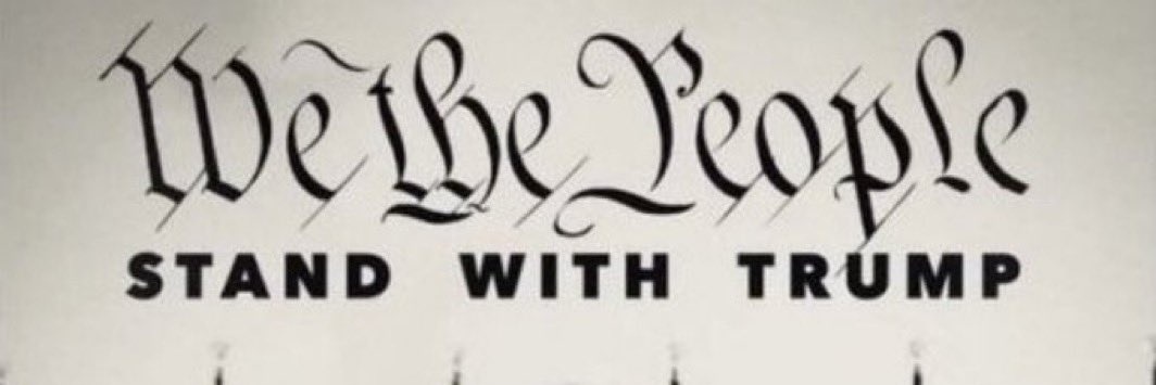 Dana C. Nielsen banner