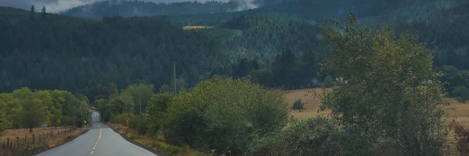 TerreneSpoon's profile banner image