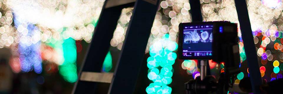 Elizabeth Barnes Casting banner