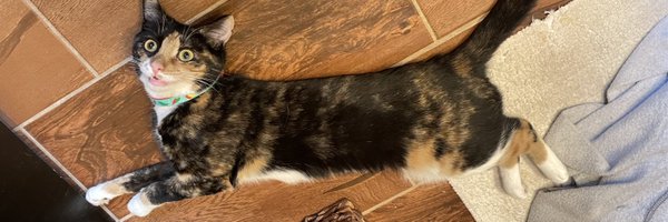 pepperspicegorl Profile Banner