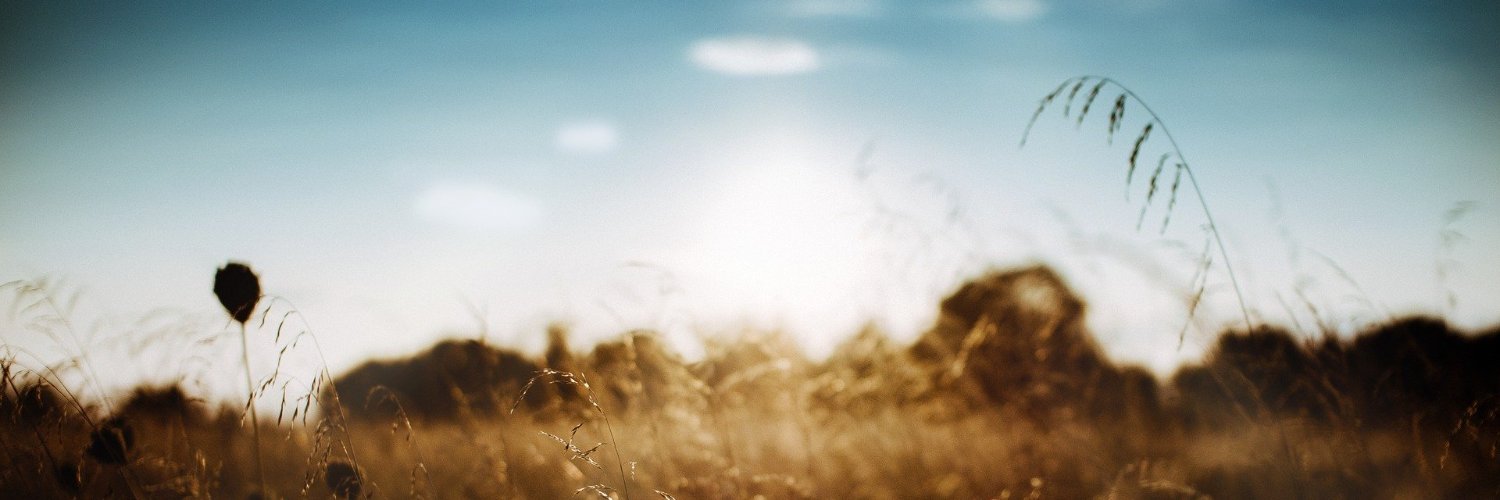 0xPrato's profile banner image