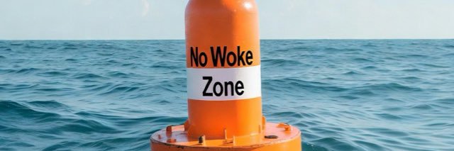 No Woke Zone banner